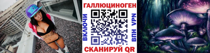 Псилоцибиновые грибы Cubensis  Сясьстрой 